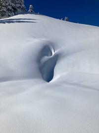 Toute ouïe ? Toute ouïe ?